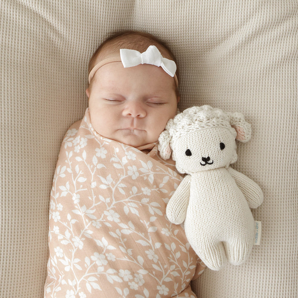 Cuddle and Kind Baby Lamb