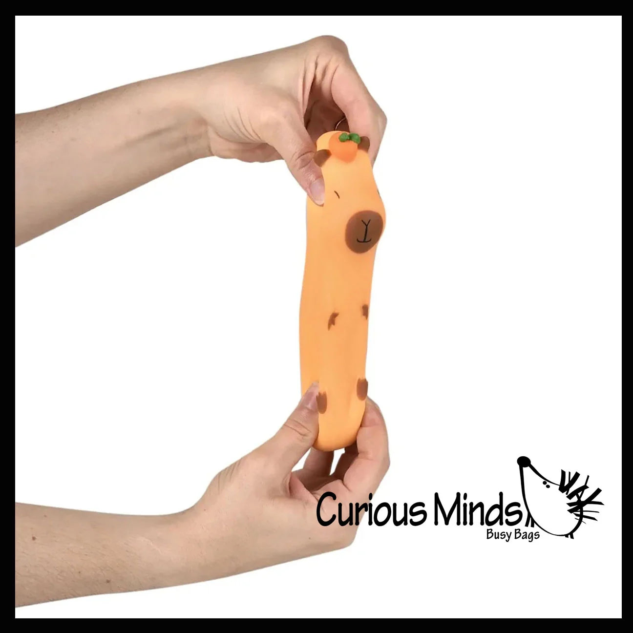 Curious Minds Toys Capybara Sensory Fidget Toy Assortment