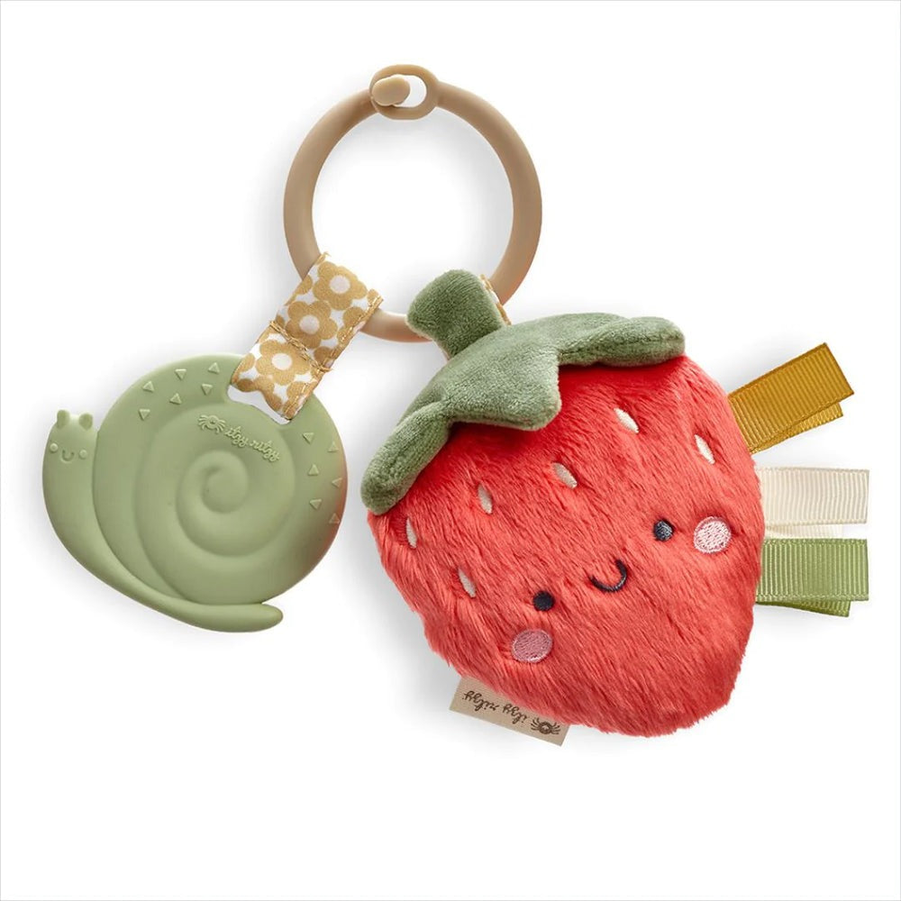 Itzy Ritzy Itzy Pal Infant Toy