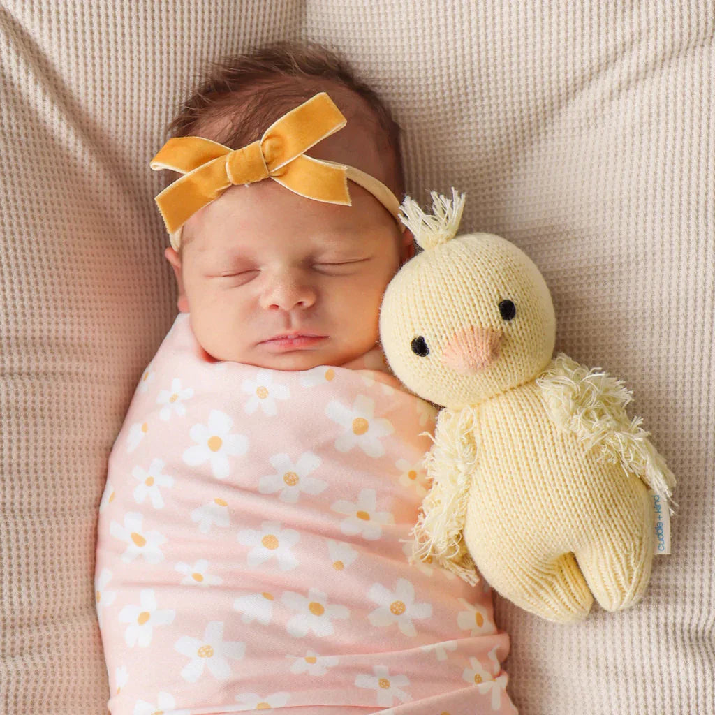 Cuddle and Kind Baby Duckling