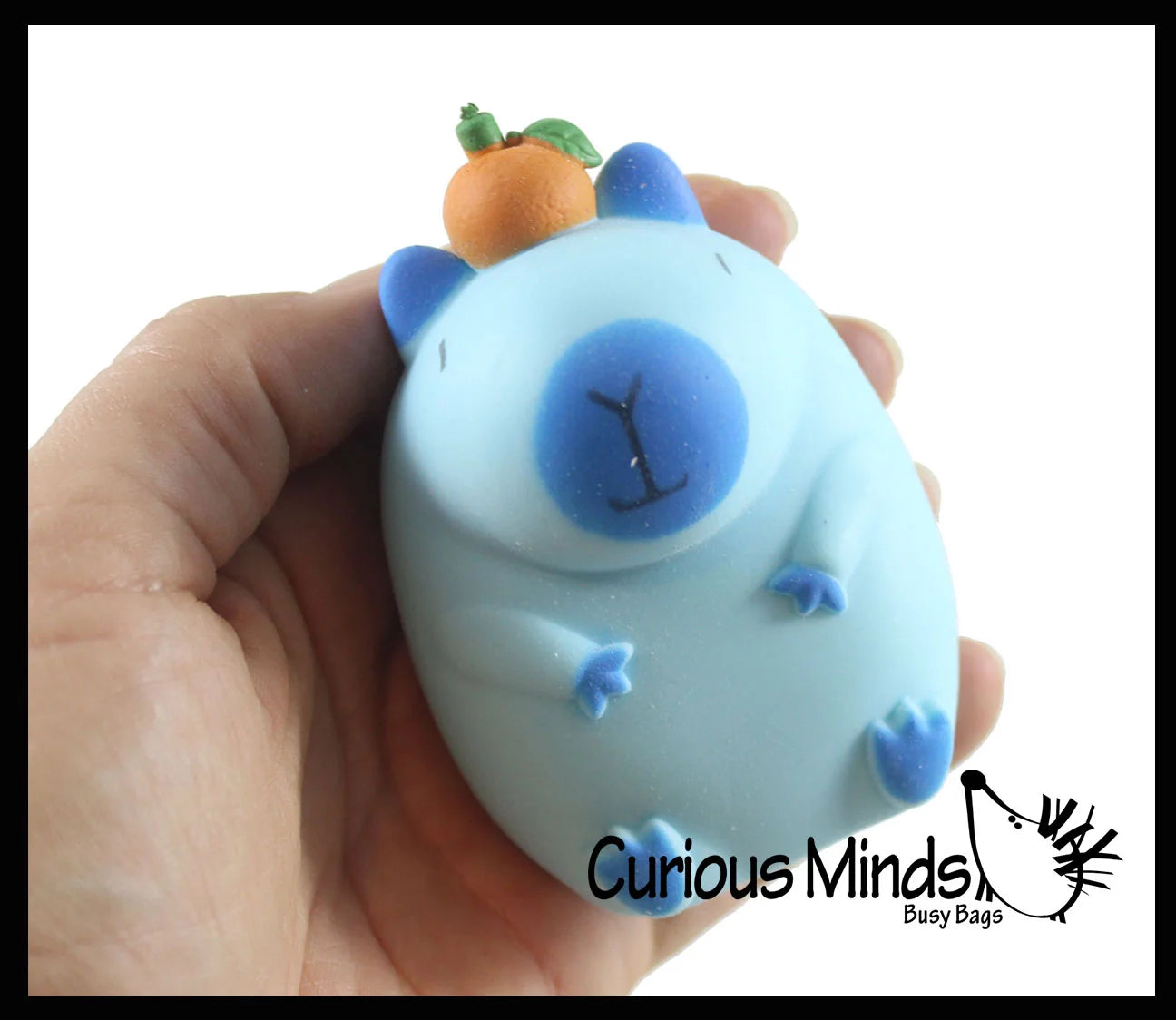 Curious Minds Toys Capybara Sensory Fidget Toy Assortment