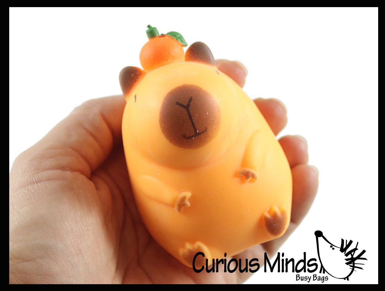 Curious Minds Toys Capybara Sensory Fidget Toy Assortment