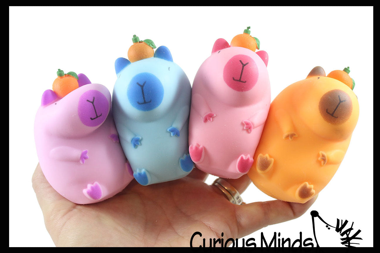 Curious Minds Toys Capybara Sensory Fidget Toy Assortment