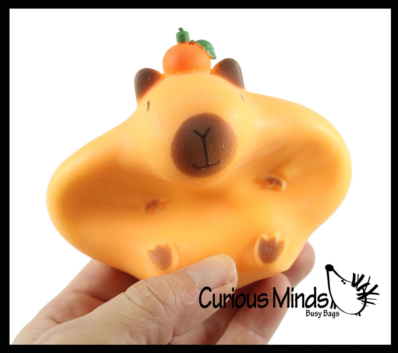 Curious Minds Toys Capybara Sensory Fidget Toy Assortment
