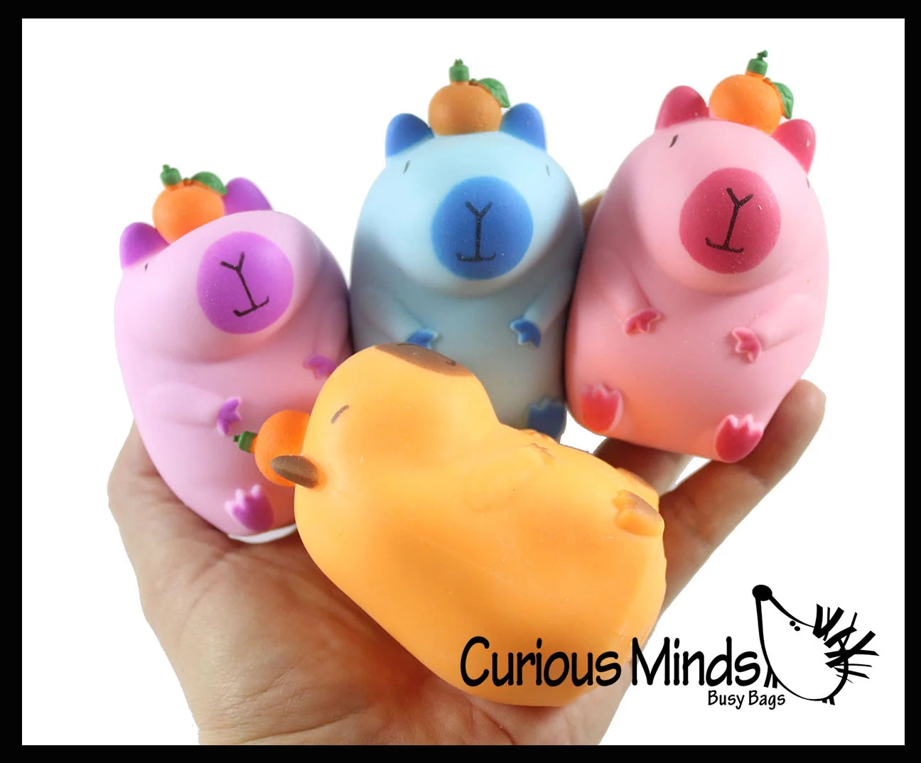 Curious Minds Toys Capybara Sensory Fidget Toy Assortment