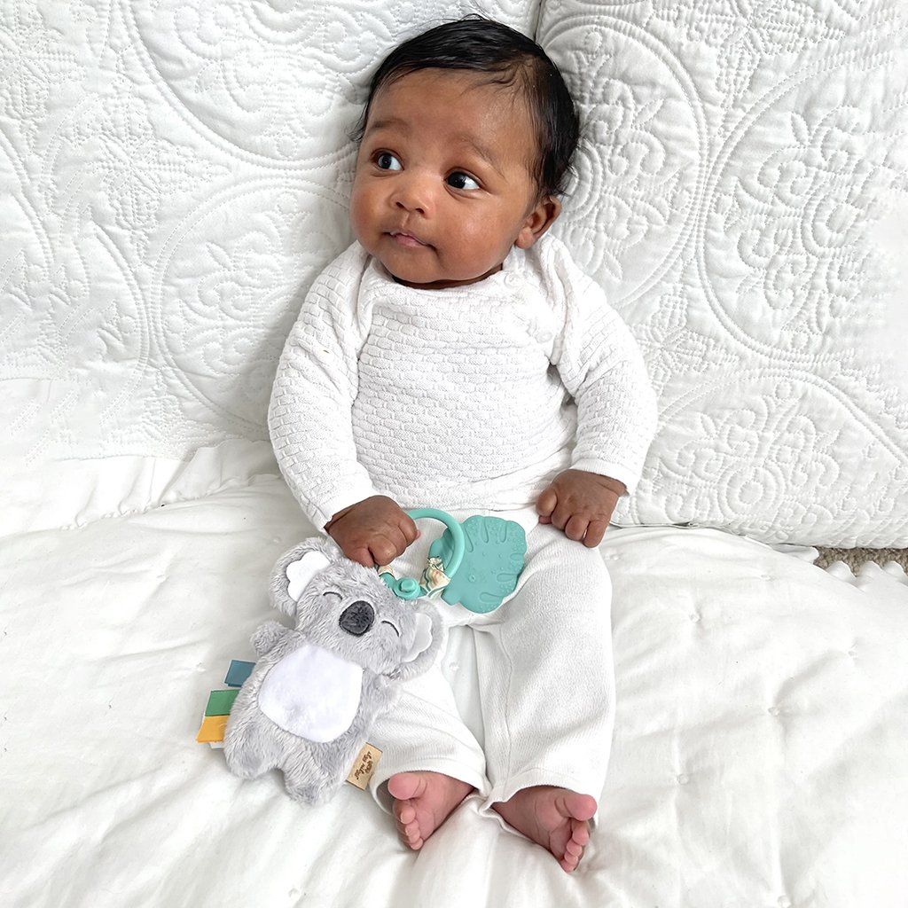 Itzy Ritzy Itzy Pal Infant Toy